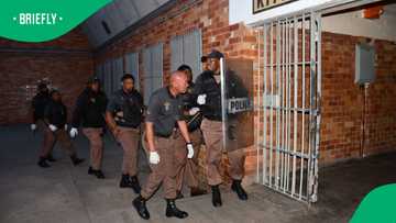 Department of Correctional Services raids Saint Albans Correctional Centre