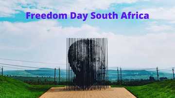 Freedom Day South Africa: Learn about this historic occasion