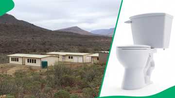 Eastern Cape rural school struggles with no toilets, pupils have to relieve themselves in open field