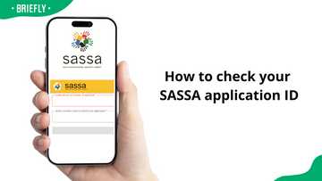 How to check your SASSA application ID: A quick guide