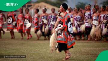 “She’s wearing her lobola”: Mzansi amazed by Zulu bride wearing long cape made of R100 notes
