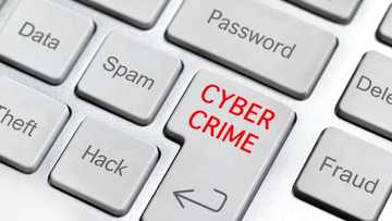 Child maintenance payments unintentionally postponed due to ransomware attack
