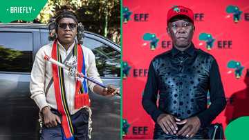 Ngizwe Mchunu defends himself, insists he apologised sincerely to Julius Malema