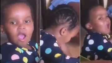 “Nailed it”: Cute kid singing Zakes Bantwini’s 'Osama' song is a hit in viral video clip