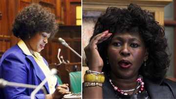 ActionSA kicks out Makhosi Khoza, terminates membership for bringing party into disrepute