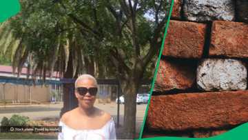 Woman in stokvel paying R2k per month shares bricks bought after payout in TikTok video