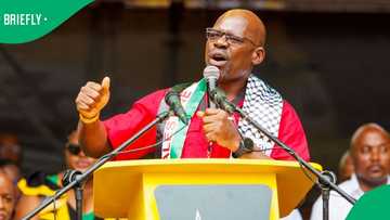 EFF and the MK Party are not threats to GNU: SACP's Solly Mapaila