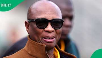 Zizi Kodwa resigns from his role as an ANC Member of Parliament