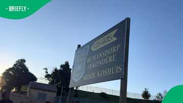 Humansdorp Secondary School learner stabbed to death on school premises