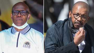 Mzwanele Manyi defends Advocate Dali Mpofu's position on the JSC panel amidst removal calls