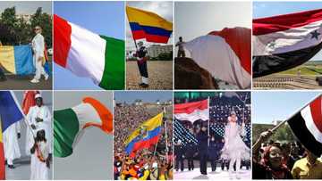 10 Countries of the world that share flag colours and their distinctions