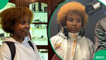 “Cassper Is Going to Take This Sound”: Mzansi Wowed by SA Lady Recreating Drake’s 'Pound Cake' Intro