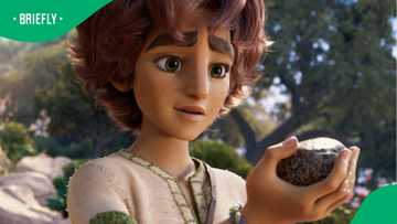 ‘David’ takes on the world: SA’s next breakout film shatters pre-sale records