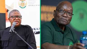 Fikile Mbalula revealed that the ANC defended Jacob Zuma’s Nkandla swimming pool lie