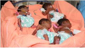 25 Year old Woman Gives Birth to Quadruplets, Now Mum of 7, husband says he can't take care of the growing family