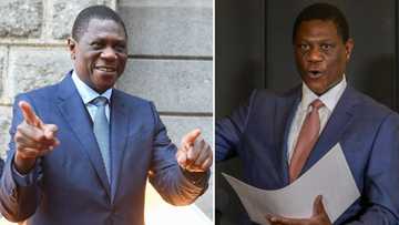 Paul Mashatile marries widow of former ANC Western Cape secretary Songezo Mjongile, Humile Mjongile