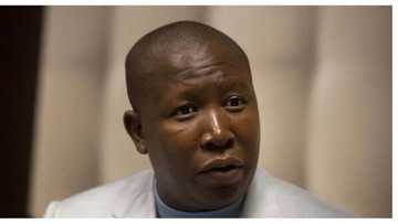 Malema: I am prepared to go to prison for saying the poor must invade unoccupied land