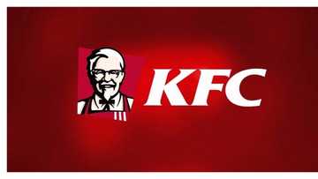 Top 10 South African fast food brands revealed