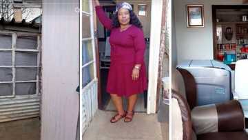 Woman trends for shack glow-up, peeps impressed by her creativity