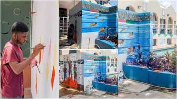 From doctor to painter: Man turns swimming pool area into 'paradise'