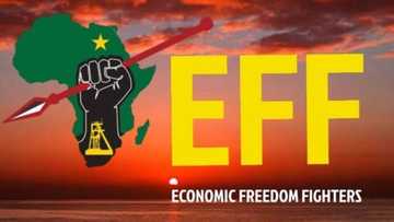 Social media turns red as EFF celebrates 8th anniversary, Mzansi reacts