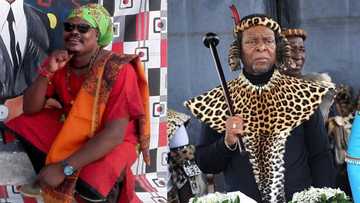 "Take his brush": Rasta trends as locals fear King Zwelithini painting