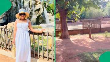 "Used to be filled with animals": Woman's trip to Pretoria Zoo has SA stressed, video goes viral