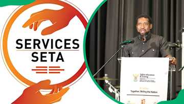 SETA bursary application: A detailed guide for you