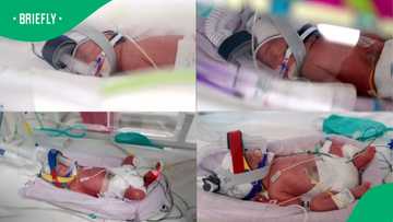 Australian mum gives birth to identical quadruplets in an incredibly rare 1-in-15-million pregnancy