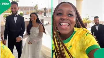 "My people never disappoint": South Africans celebrate Cairo wedding in Mzansi style, netizens react