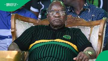 Traditional leaders withdraw support for MK Party, SA split as they accuse Jacob Zuma of disrespect