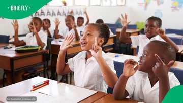 Struggling to pay school fees? South African parents can apply for exemptions