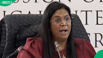 Andrea Johnson was nicknamed 'Flip Flop Knee Jerk' by IDAC staff, Madlanga Commission hears
