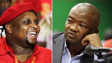 UDM’s Bantu Holomisa says they should slaughter an "ankole for braai" to celebrate Floyd Shivambu’s birthday