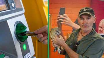 Westonaria man stuns bank with barn owl deposit attempt
