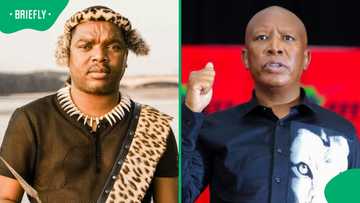 EFF condemns Ngizwe Mchunu's alleged tribalist comments about Julius Malema