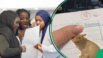 "Can I have my degree? I want to do this so bad": SA floored by teacher's goofy marking in viral TikTok video