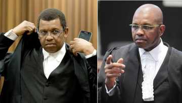 SA Impressed with Dali Mpofu's willingness to try despite losing case after case