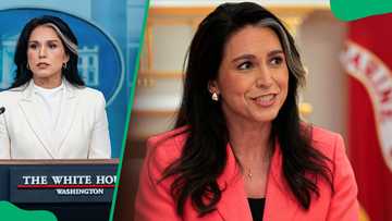 Tulsi Gabbard's height and other facts about the former Congresswoman