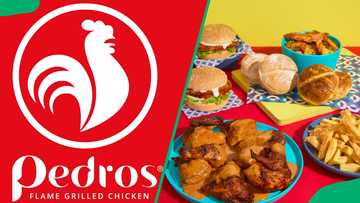 Pedros menu and prices in South Africa (updated for 2025)