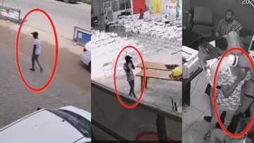 Snapped: Smart campus thief recorded in the act on CCTV cameras