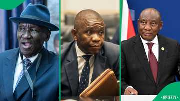 SA amused by General Mkhwanazi, Bheki Cele and Vusi ‘Cat’ Matlala’s American actor lookalikes