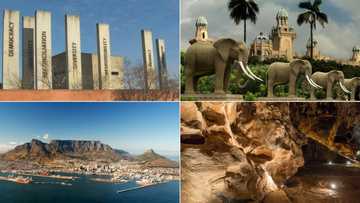 20 Reasons why South Africa is the number 1 tourist destination