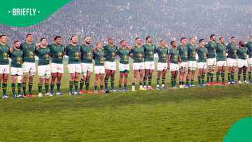World Cup-winning coach identifies Springboks’ “flaw”, reveals blueprint to beat them