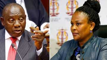 Cyril Ramaphosa's lawyer says no conflict of interest over Public Protector Busisiwe Mkhwebane's suspension