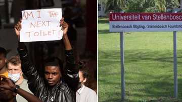 Stellenbosch University confirms another urination scandal after a drunk student urinated on roommate's chair