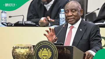 RISE Mzansi's Makashule Gana elected as chairperson of impeachment committee