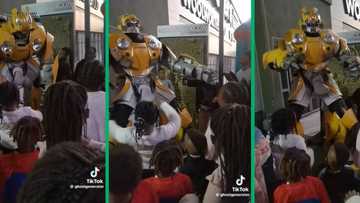 Bumblebee mascot entertains kids at Blueberry Beacon with fire dance moves to 'Mnike'