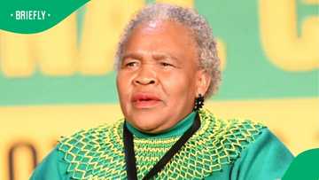 South Africans blast Social Development Minister amidst growing outrage over ‘irregular hiring’