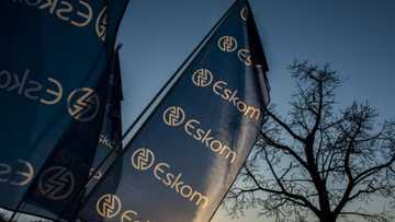 Eskom suffering from effects of meter tampering, vandalism and theft